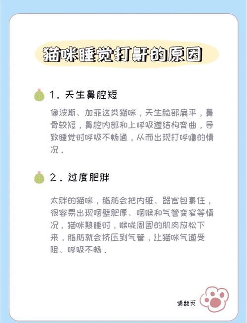 猫咪呼噜声很大-猫咪呼噜声很大是怎么回事-第6张图片 猫咪呼噜声很大-猫咪呼噜声很大是怎么回事-第6张图片