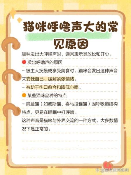 猫咪呼噜声很大-猫咪呼噜声很大是怎么回事-第8张图片 猫咪呼噜声很大-猫咪呼噜声很大是怎么回事-第8张图片