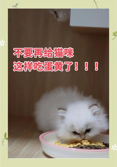 猫可以吃生鸡蛋吗,猫可以吃生鸡蛋吗?-第3张图片 猫可以吃生鸡蛋吗,猫可以吃生鸡蛋吗?-第3张图片