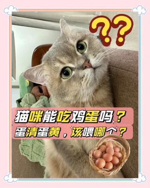 猫可以吃生鸡蛋吗,猫可以吃生鸡蛋吗?-第5张图片 猫可以吃生鸡蛋吗,猫可以吃生鸡蛋吗?-第5张图片