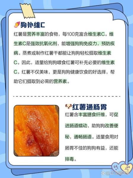 解析“狗狗吃红薯好不好”你不知道的事