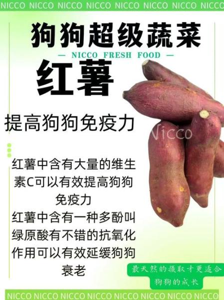 解析“狗狗吃红薯好不好”你不知道的事-第4张图片 解析“狗狗吃红薯好不好”你不知道的事-第4张图片
