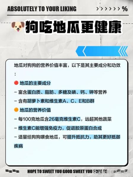 解析“狗狗吃红薯好不好”你不知道的事-第6张图片 解析“狗狗吃红薯好不好”你不知道的事-第6张图片