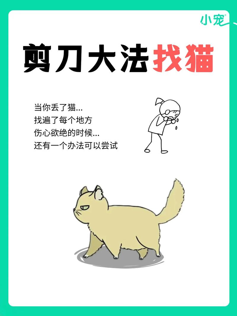 找猫很灵的方法,找猫很灵的方法是什么方法-第1张图片 找猫很灵的方法,找猫很灵的方法是什么方法-第1张图片