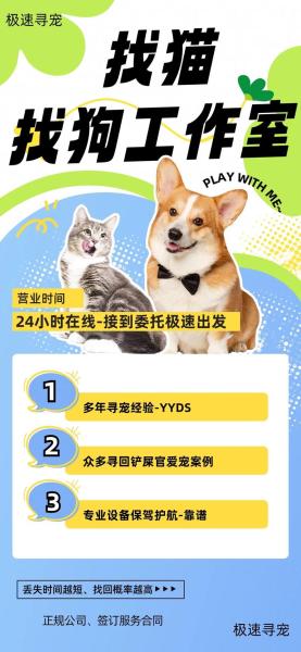 找猫很灵的方法,找猫很灵的方法是什么方法-第6张图片 找猫很灵的方法,找猫很灵的方法是什么方法-第6张图片