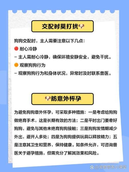 狗狗配种需要多长时间/狗狗配种需要多长时间能配上-第1张图片 狗狗配种需要多长时间/狗狗配种需要多长时间能配上-第1张图片
