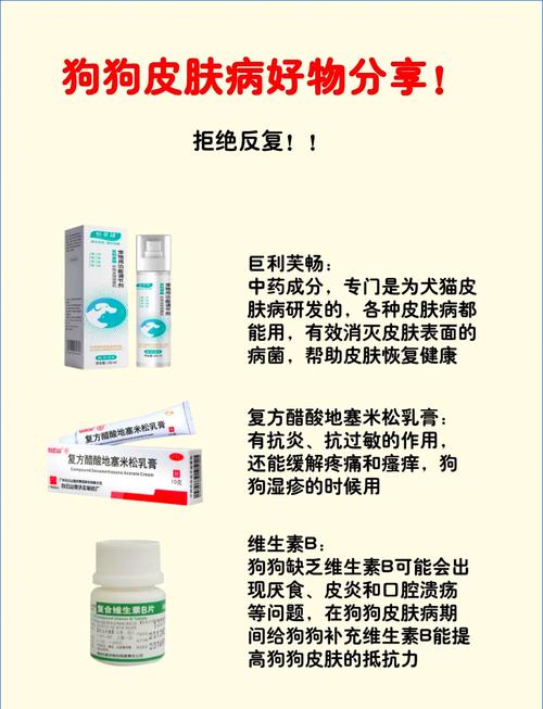 狗皮肤病怎么治疗比较好-狗皮肤病怎么根治-第2张图片 狗皮肤病怎么治疗比较好-狗皮肤病怎么根治-第2张图片