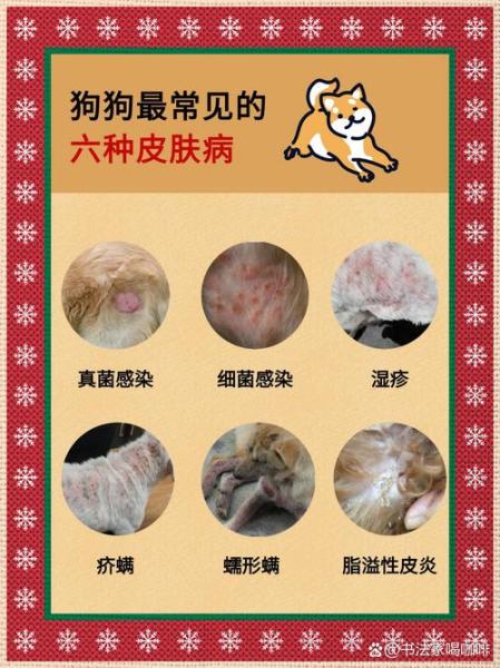 狗皮肤病怎么治疗比较好-狗皮肤病怎么根治-第5张图片 狗皮肤病怎么治疗比较好-狗皮肤病怎么根治-第5张图片