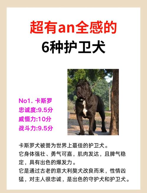 法国波尔多犬与狼搏斗,法国波尔多獒犬的费用-第4张图片 法国波尔多犬与狼搏斗,法国波尔多獒犬的费用-第4张图片