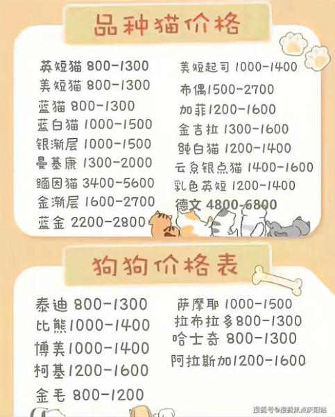 解析“白色金毛幼犬费用”你不知道的事