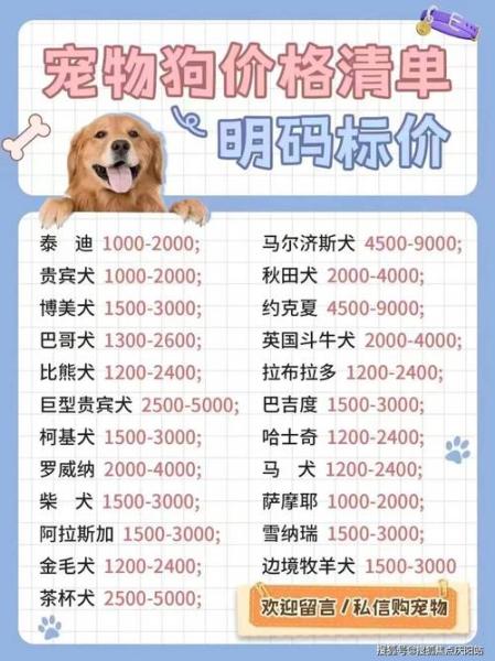解析“白色金毛幼犬费用”你不知道的事-第2张图片 解析“白色金毛幼犬费用”你不知道的事-第2张图片