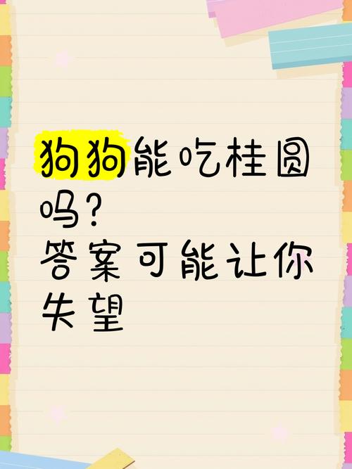 狗狗可以吃桂圆吗/狗狗可以吃桂圆嘛-第5张图片 狗狗可以吃桂圆吗/狗狗可以吃桂圆嘛-第5张图片