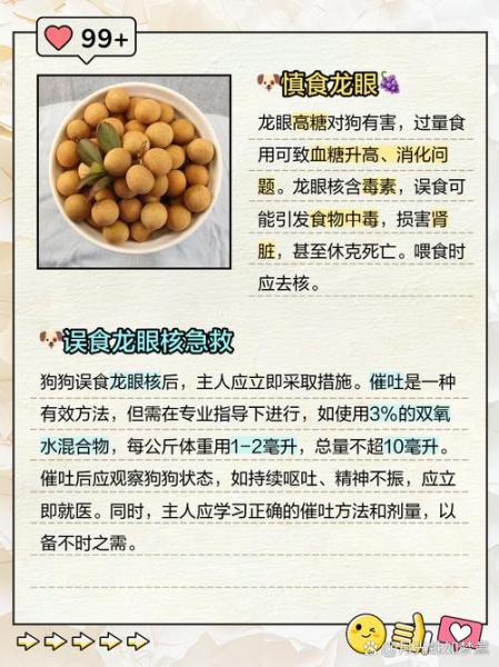 狗狗可以吃桂圆吗/狗狗可以吃桂圆嘛-第6张图片 狗狗可以吃桂圆吗/狗狗可以吃桂圆嘛-第6张图片