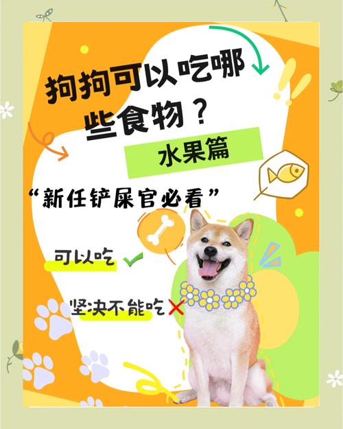 作为消费者“小狗可以吃橘子吗”你不能不知道-第1张图片 作为消费者“小狗可以吃橘子吗”你不能不知道-第1张图片