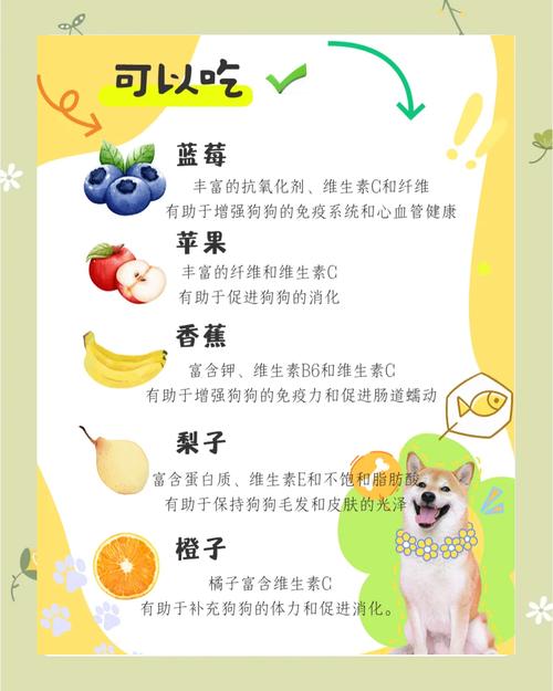 作为消费者“小狗可以吃橘子吗”你不能不知道-第4张图片 作为消费者“小狗可以吃橘子吗”你不能不知道-第4张图片