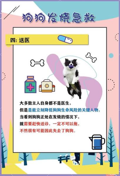 狗狗发烧能自愈吗-狗狗发烧能自愈吗怎么办-第7张图片 狗狗发烧能自愈吗-狗狗发烧能自愈吗怎么办-第7张图片