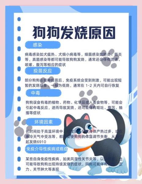 狗狗发烧能自愈吗-狗狗发烧能自愈吗怎么办-第8张图片 狗狗发烧能自愈吗-狗狗发烧能自愈吗怎么办-第8张图片