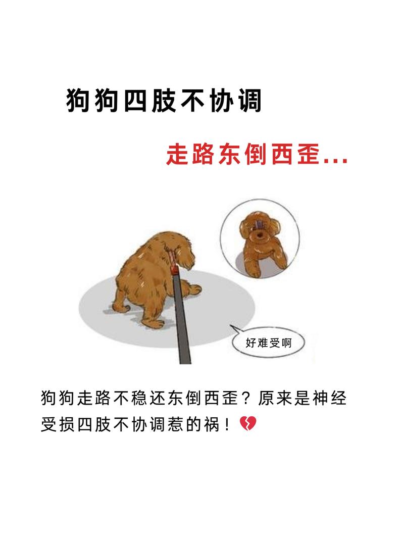 狗狗会有高原反应吗,狗狗有高原反应会死吗-第9张图片 狗狗会有高原反应吗,狗狗有高原反应会死吗-第9张图片
