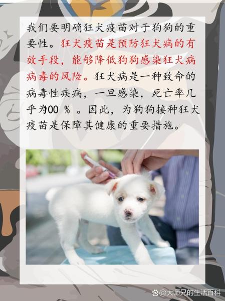 狗狗多大可以打疫苗,狗狗多大可以打疫苗南宁宠物疫苗-第2张图片 狗狗多大可以打疫苗,狗狗多大可以打疫苗南宁宠物疫苗-第2张图片