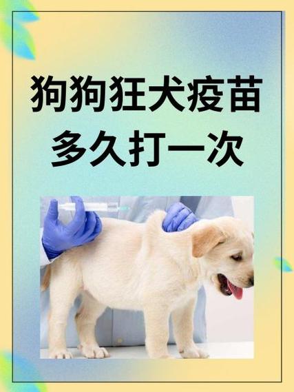 狗狗多大可以打疫苗,狗狗多大可以打疫苗南宁宠物疫苗-第4张图片 狗狗多大可以打疫苗,狗狗多大可以打疫苗南宁宠物疫苗-第4张图片