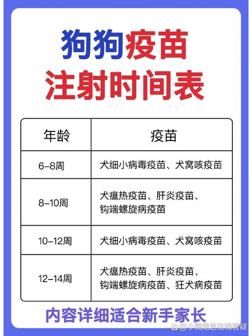 狗狗多大可以打疫苗,狗狗多大可以打疫苗南宁宠物疫苗-第10张图片 狗狗多大可以打疫苗,狗狗多大可以打疫苗南宁宠物疫苗-第10张图片