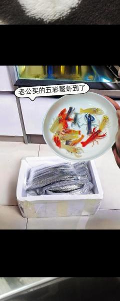 作为消费者“观赏虾苗最适合的温度是多少”你不能不知道
