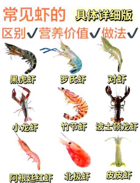 作为消费者“观赏虾苗最适合的温度是多少”你不能不知道-第7张图片 作为消费者“观赏虾苗最适合的温度是多少”你不能不知道-第7张图片
