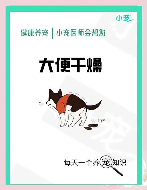 解析“狗狗排便困难怎么办”你不知道的事