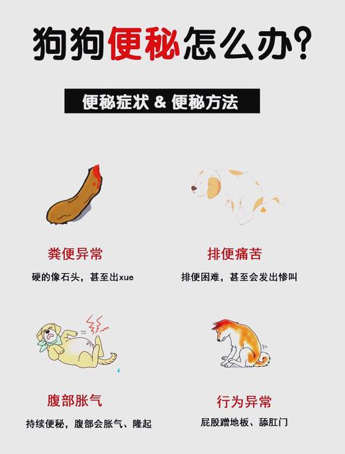 解析“狗狗排便困难怎么办”你不知道的事-第3张图片 解析“狗狗排便困难怎么办”你不知道的事-第3张图片