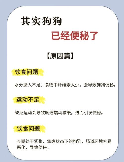 解析“狗狗排便困难怎么办”你不知道的事-第4张图片 解析“狗狗排便困难怎么办”你不知道的事-第4张图片
