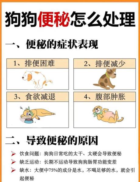 解析“狗狗排便困难怎么办”你不知道的事-第5张图片 解析“狗狗排便困难怎么办”你不知道的事-第5张图片