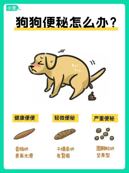 解析“狗狗排便困难怎么办”你不知道的事-第6张图片 解析“狗狗排便困难怎么办”你不知道的事-第6张图片