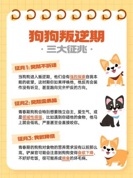 作为消费者“狗狗叛逆期有什么表现”你不能不知道-第4张图片 作为消费者“狗狗叛逆期有什么表现”你不能不知道-第4张图片