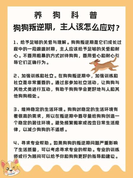 作为消费者“狗狗叛逆期有什么表现”你不能不知道-第5张图片 作为消费者“狗狗叛逆期有什么表现”你不能不知道-第5张图片