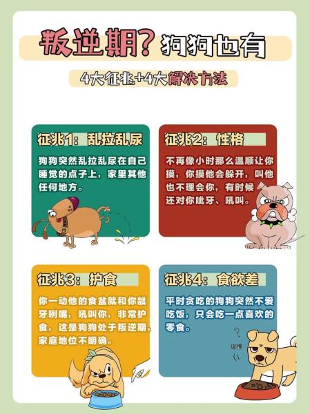 作为消费者“狗狗叛逆期有什么表现”你不能不知道-第7张图片 作为消费者“狗狗叛逆期有什么表现”你不能不知道-第7张图片