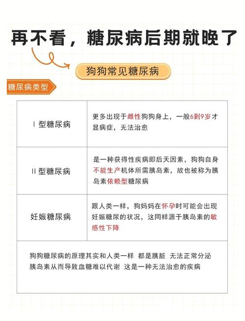 狗狗喝糖水有什么好处-幼犬喝糖水-第3张图片 狗狗喝糖水有什么好处-幼犬喝糖水-第3张图片