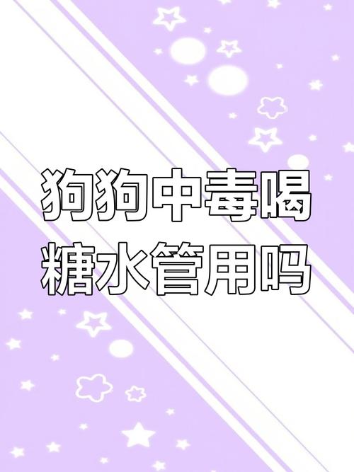 狗狗喝糖水有什么好处-幼犬喝糖水-第8张图片 狗狗喝糖水有什么好处-幼犬喝糖水-第8张图片