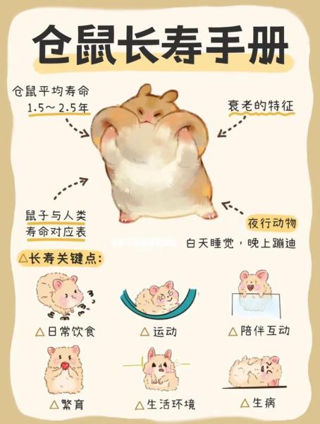 仓鼠寿命多长-仓鼠的寿命一般是多长