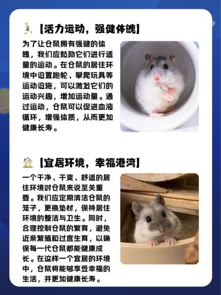 仓鼠寿命多长-仓鼠的寿命一般是多长-第4张图片 仓鼠寿命多长-仓鼠的寿命一般是多长-第4张图片