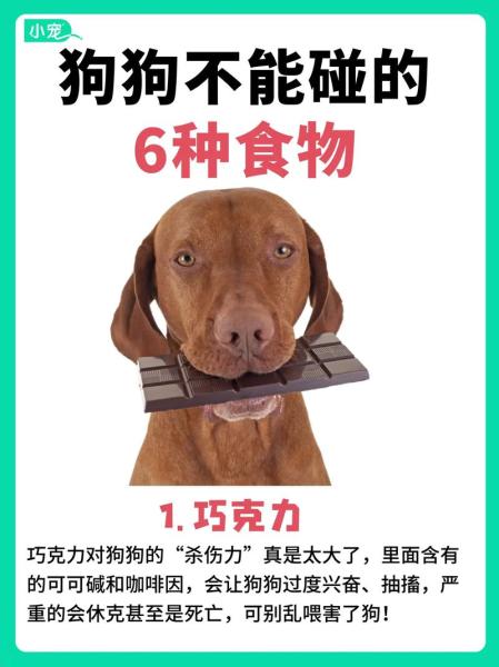 作为消费者“狗狗能吃巧克力吗”你不能不知道-第2张图片 作为消费者“狗狗能吃巧克力吗”你不能不知道-第2张图片