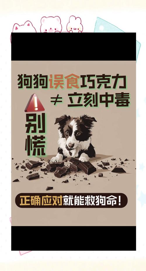 作为消费者“狗狗能吃巧克力吗”你不能不知道-第10张图片 作为消费者“狗狗能吃巧克力吗”你不能不知道-第10张图片