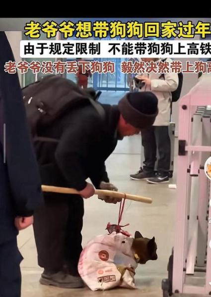 作为消费者“高铁可以带狗吗”你不能不知道-第4张图片 作为消费者“高铁可以带狗吗”你不能不知道-第4张图片