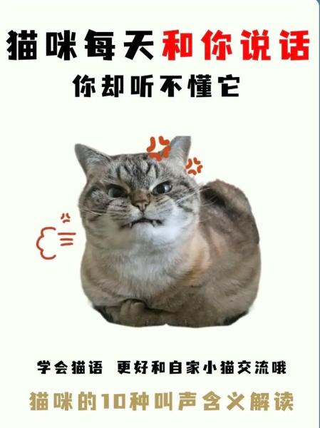 猫说话-猫说话的视频-第2张图片 猫说话-猫说话的视频-第2张图片