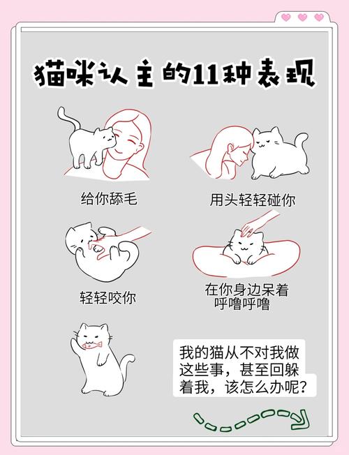 猫说话-猫说话的视频-第9张图片 猫说话-猫说话的视频-第9张图片