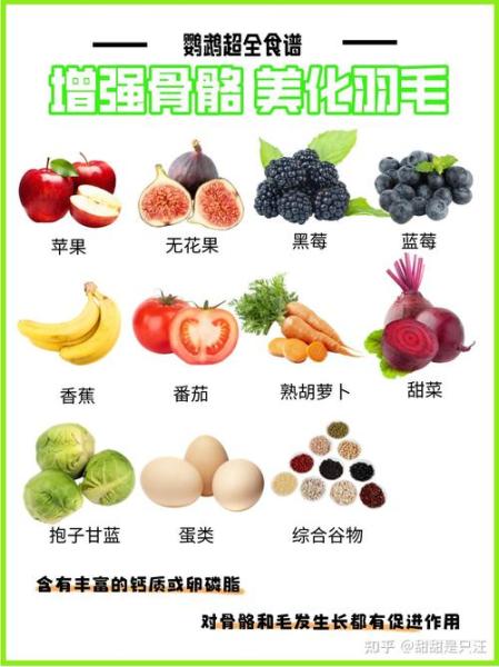 鹦鹉吃苹果吗,玄凤鹦鹉吃苹果吗-第7张图片 鹦鹉吃苹果吗,玄凤鹦鹉吃苹果吗-第7张图片