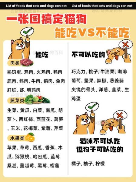 狗能吃黑豆吗-狗狗能吃黑豆嘛-第3张图片 狗能吃黑豆吗-狗狗能吃黑豆嘛-第3张图片