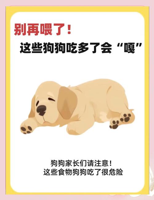 狗狗可以吃竹笋吗/狗狗可以吃竹笋吗有毒吗-第5张图片 狗狗可以吃竹笋吗/狗狗可以吃竹笋吗有毒吗-第5张图片