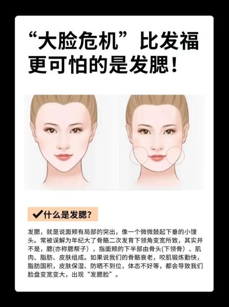 发腮/发腮的猫-第5张图片 发腮/发腮的猫-第5张图片