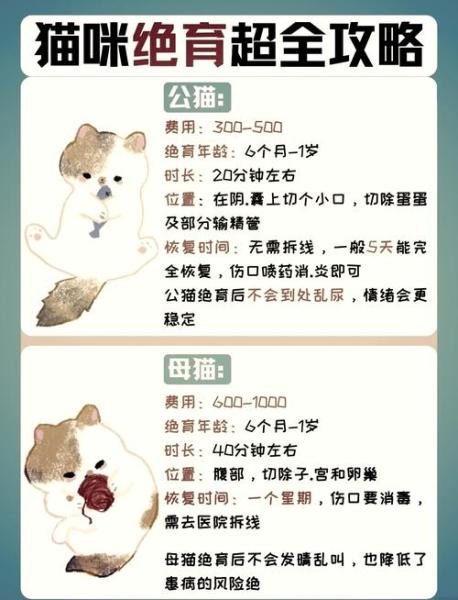 解析“猫咪做手术大概多少钱”你不知道的事