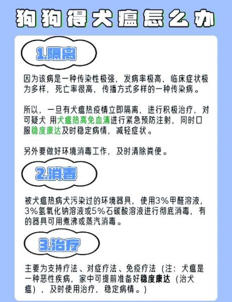 狗瘟在家怎么治疗最有效-狗瘟自己怎么用药治疗-第5张图片 狗瘟在家怎么治疗最有效-狗瘟自己怎么用药治疗-第5张图片